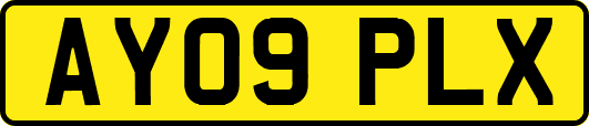 AY09PLX