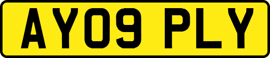 AY09PLY