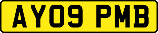 AY09PMB