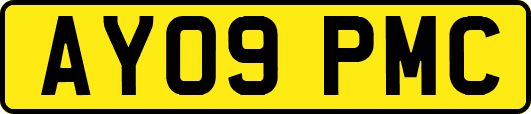 AY09PMC