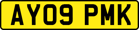 AY09PMK