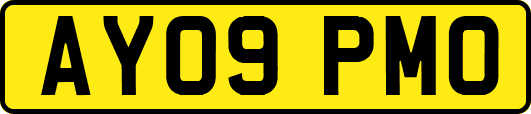AY09PMO