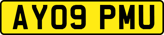 AY09PMU