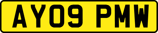 AY09PMW