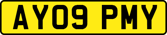 AY09PMY