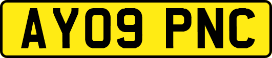 AY09PNC