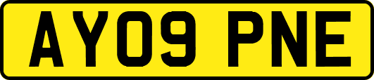 AY09PNE