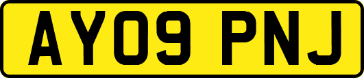 AY09PNJ
