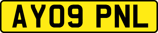 AY09PNL