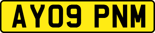 AY09PNM