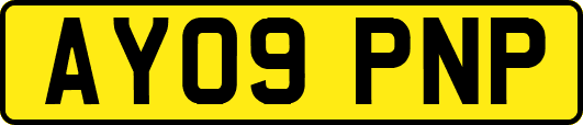 AY09PNP