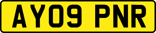 AY09PNR