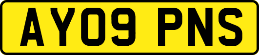 AY09PNS