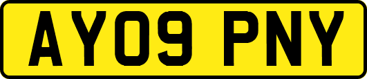 AY09PNY