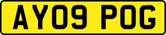 AY09POG