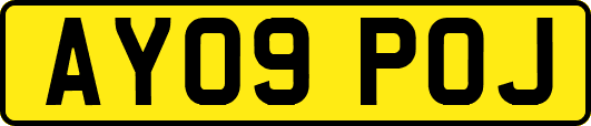 AY09POJ