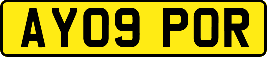 AY09POR