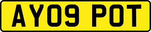 AY09POT