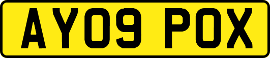 AY09POX