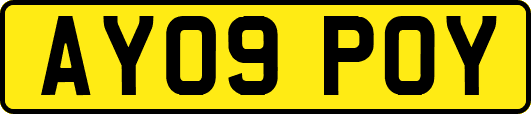 AY09POY