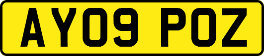 AY09POZ