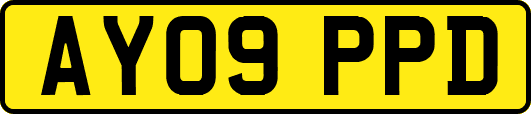 AY09PPD