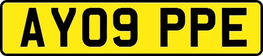 AY09PPE