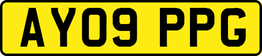 AY09PPG