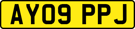 AY09PPJ