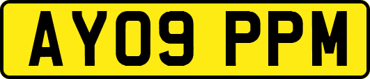 AY09PPM