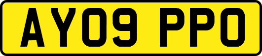 AY09PPO
