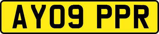 AY09PPR