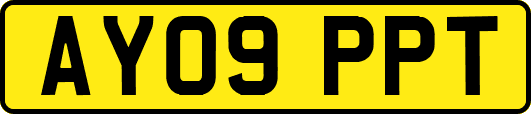 AY09PPT