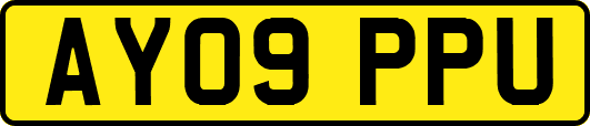 AY09PPU