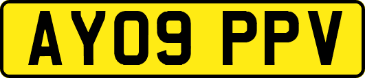 AY09PPV