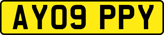 AY09PPY