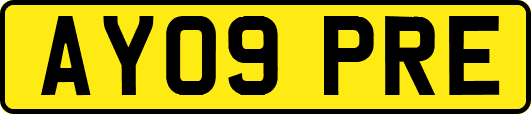 AY09PRE
