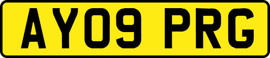 AY09PRG