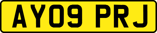 AY09PRJ