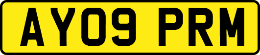 AY09PRM