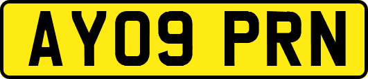 AY09PRN