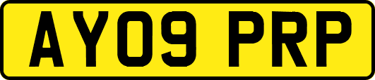 AY09PRP