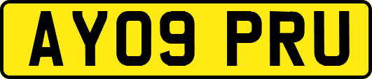 AY09PRU