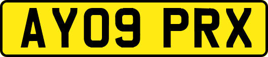 AY09PRX