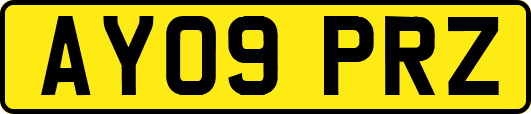 AY09PRZ