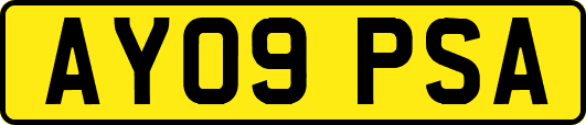 AY09PSA