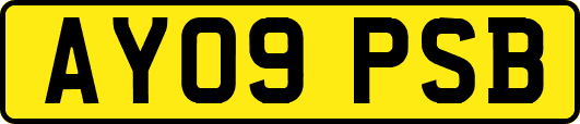AY09PSB