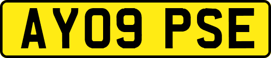 AY09PSE