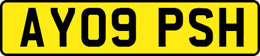 AY09PSH