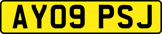 AY09PSJ